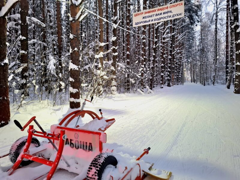 Трасса лыжероллерная Дмитров ЦЗВС, состояние на 17 января 2026 по отзыву, фото 8. 